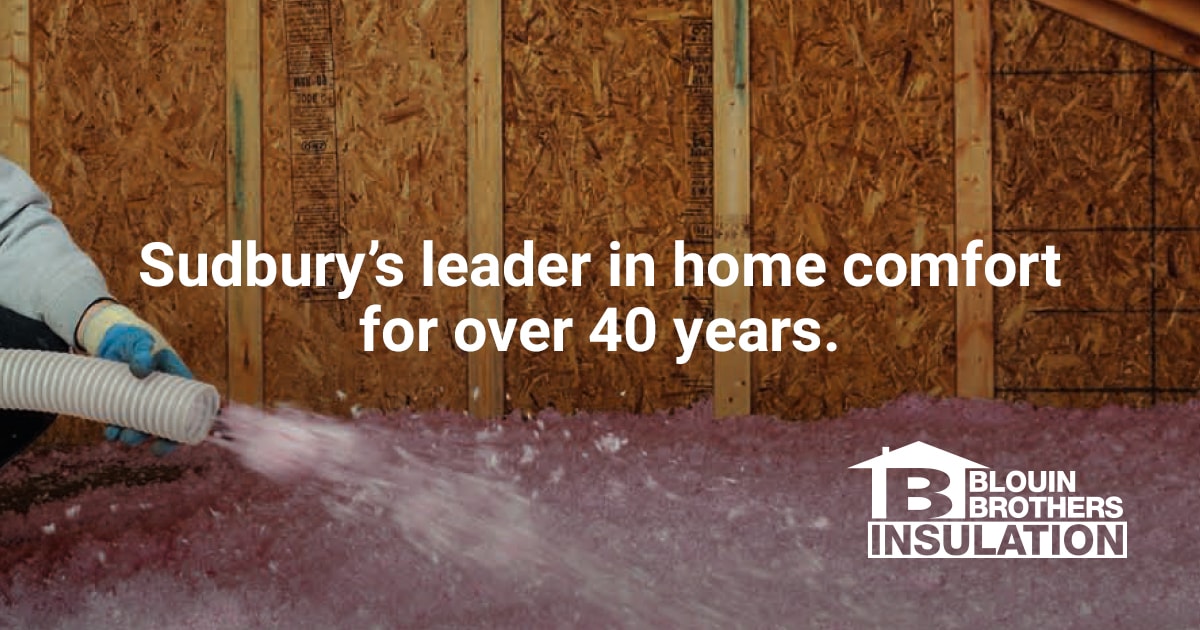 Asbestos And Lead-based Paint Abatement And Mold Remediation Services ...